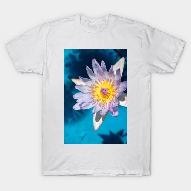 Water Lily T-Shirt by WaterGardens